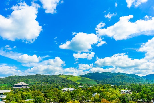  魅力ある町、古都奈良。 